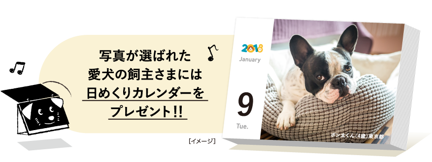 写真が選ばれた愛犬の飼主さまには日めくりカレンダーをプレゼント！！