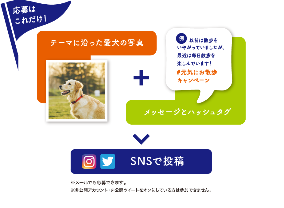 応募はこれだけ！テーマに沿った愛犬の写真とメッセージとハッシュタグをSNSで投稿